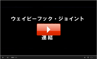 ウェイビーフック・ジョイント 連結の動画